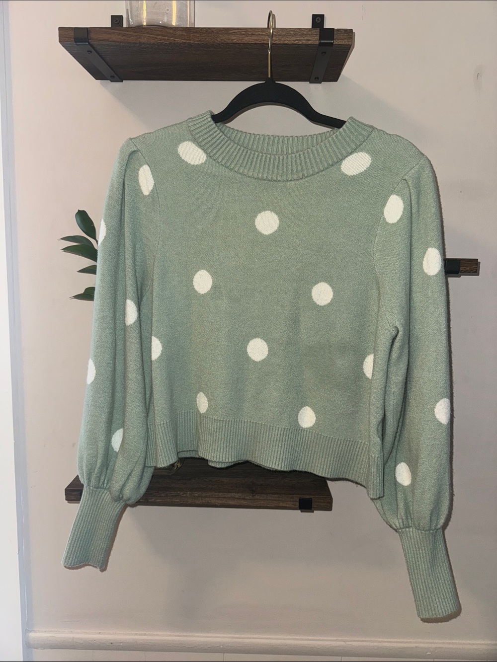 Philosophy Sage Green Polka Dot Crewneck Sweater